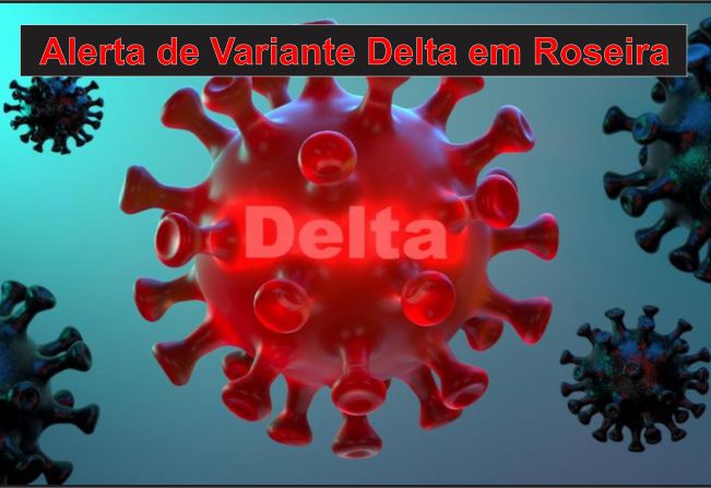 Variante Delta